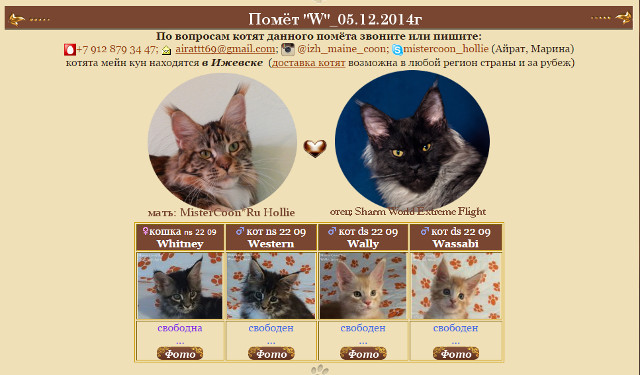 http://mistercoon.ru/images/stories/1SITE/Kitten/2015g/obsh/w_2m.jpg