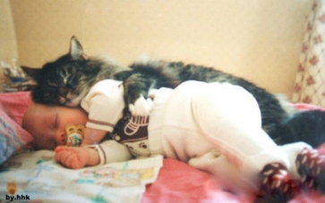 Cat-is-hugging-baby