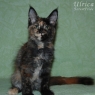 ulrica3m_01