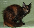 ulrica3m_05