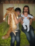 рыжий кот мейн кун с детьми играет
