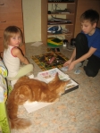 рыжий кот мейн кун с детьми играет